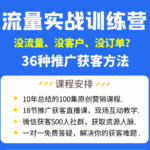 100集网络营销高清课程，免费学！-王都虎
