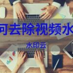 快手去水印视频解析网址在线,快手去水印视频解析免费-王都虎