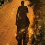 走投无路做什么赚钱（干啥挣钱多走投无路了）-王都虎